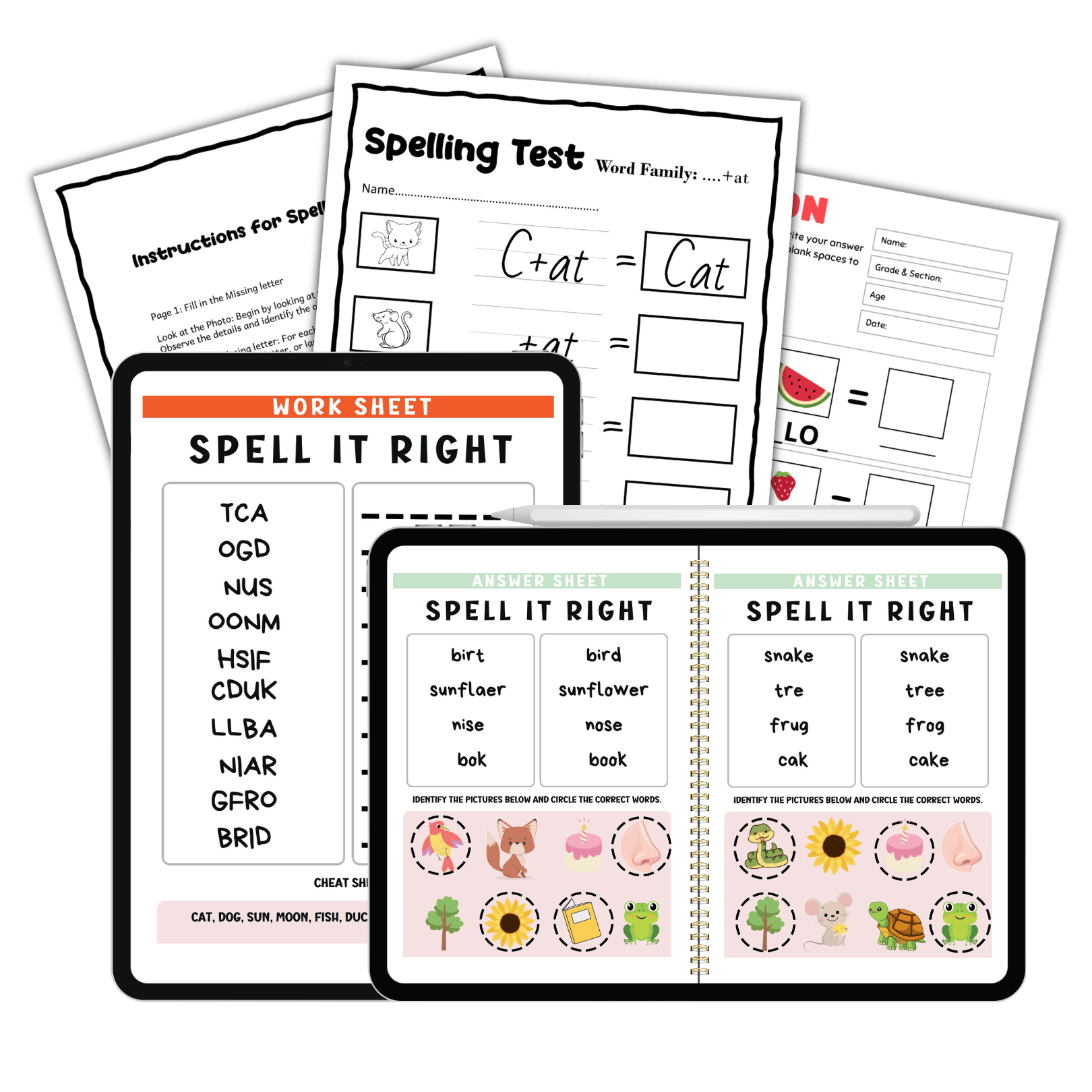 Tiny Learners Hub Complete Bundle